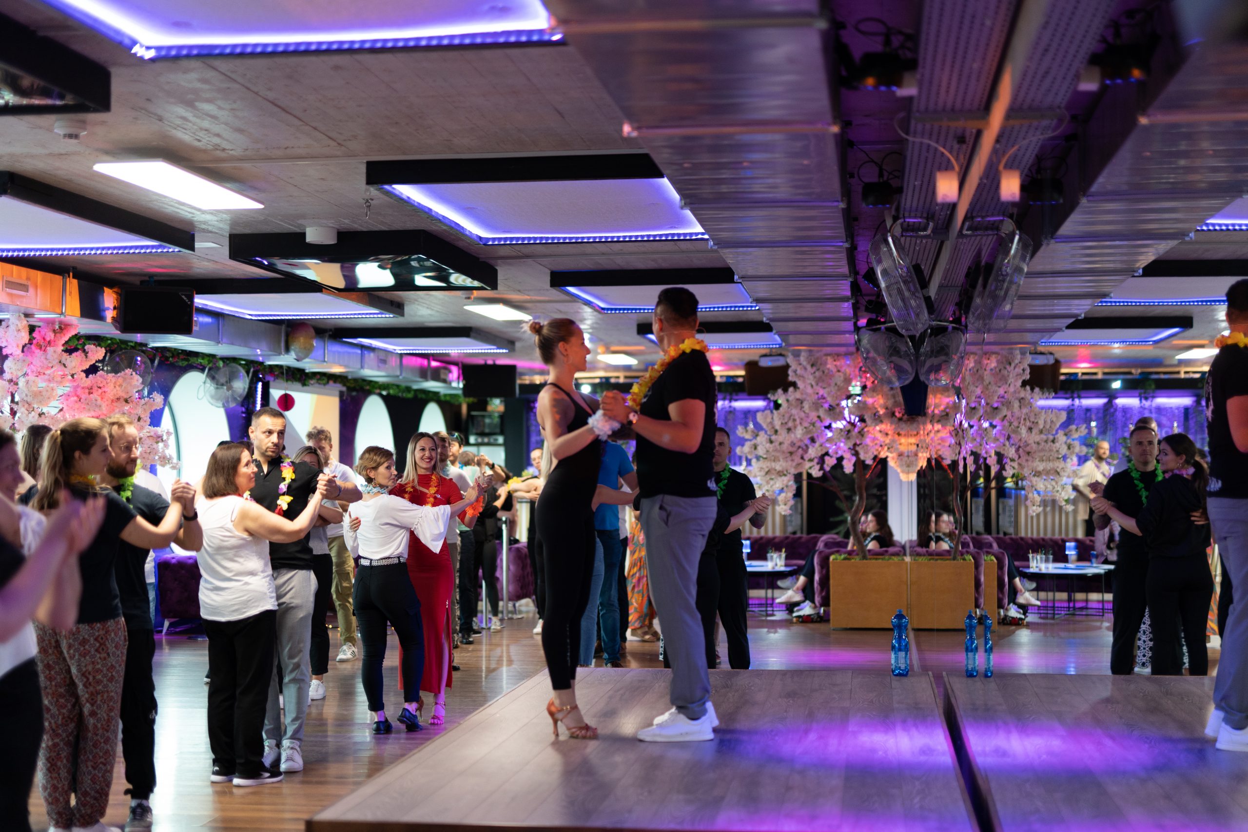 Zürich Salsa Kurs